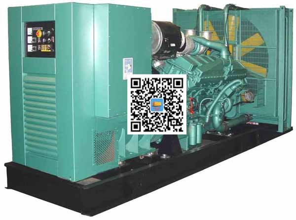 阿坝笼型异步发电机的电力电子控制技术